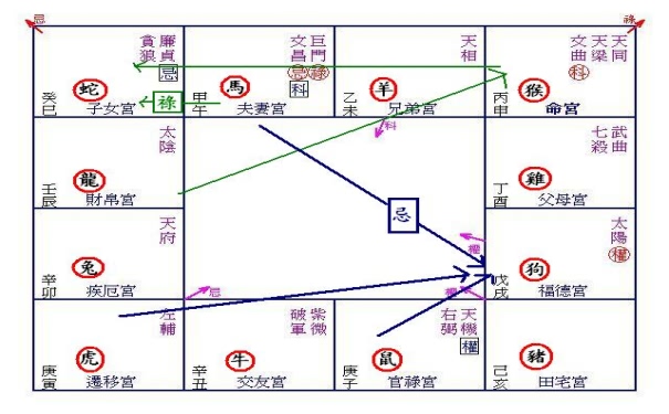 紫微斗数四化之：化忌解析