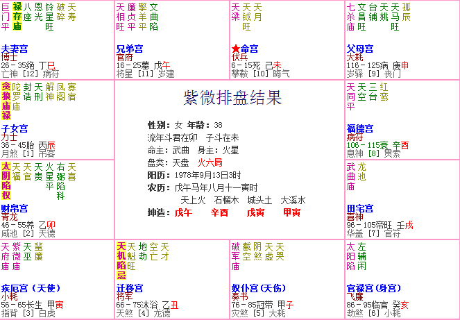 紫微斗数结合八字铁口直断（自创风格）