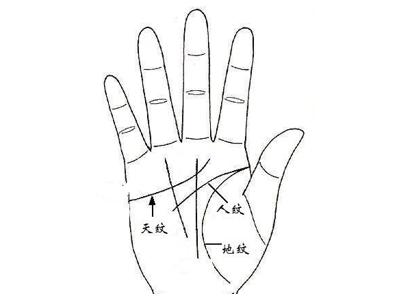 手相入门基础知识普及之：认识三纹五线及其作用1