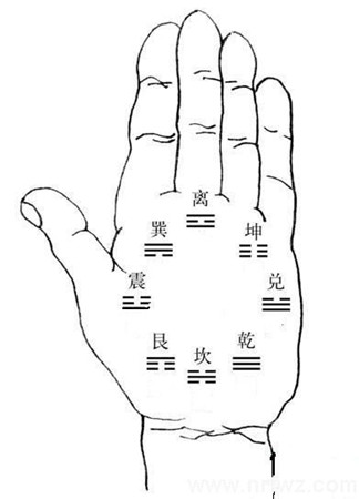 手相入门基础知识普及（3）：手掌上的八卦九宫