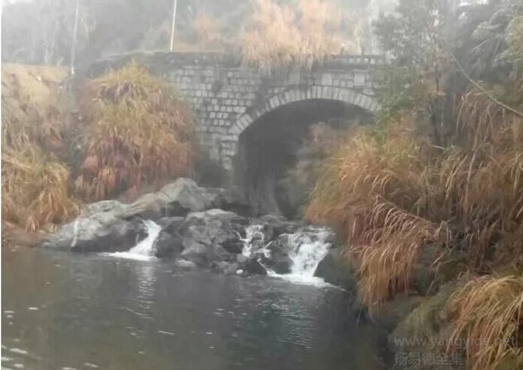 如果一个人很聪明却没有智慧，那一定是心态出了问题