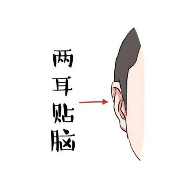 面相耳朵是贴脑袋好还是招风耳好？孰优孰劣？