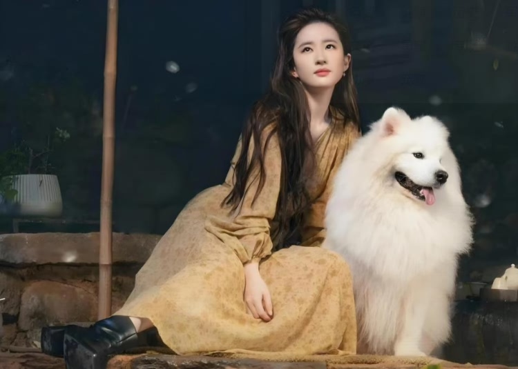 刘亦菲的面相好吗？驼峰鼻不吉为何反成明星顶流？