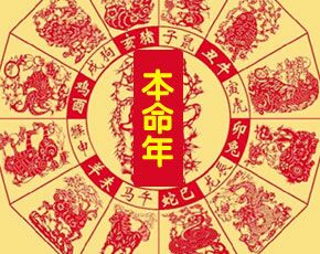 本命年专题（特献）