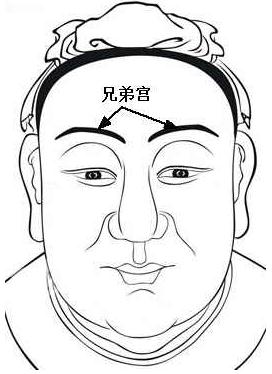面相兄弟宫